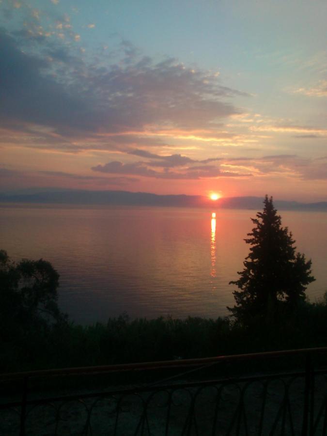 Corfu Bay Sea View Apartments 100M From The Beach Бенитсес Экстерьер фото