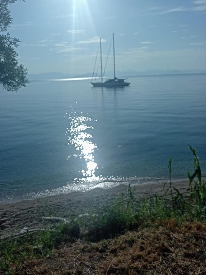 Corfu Bay Sea View Apartments 100M From The Beach Бенитсес Экстерьер фото
